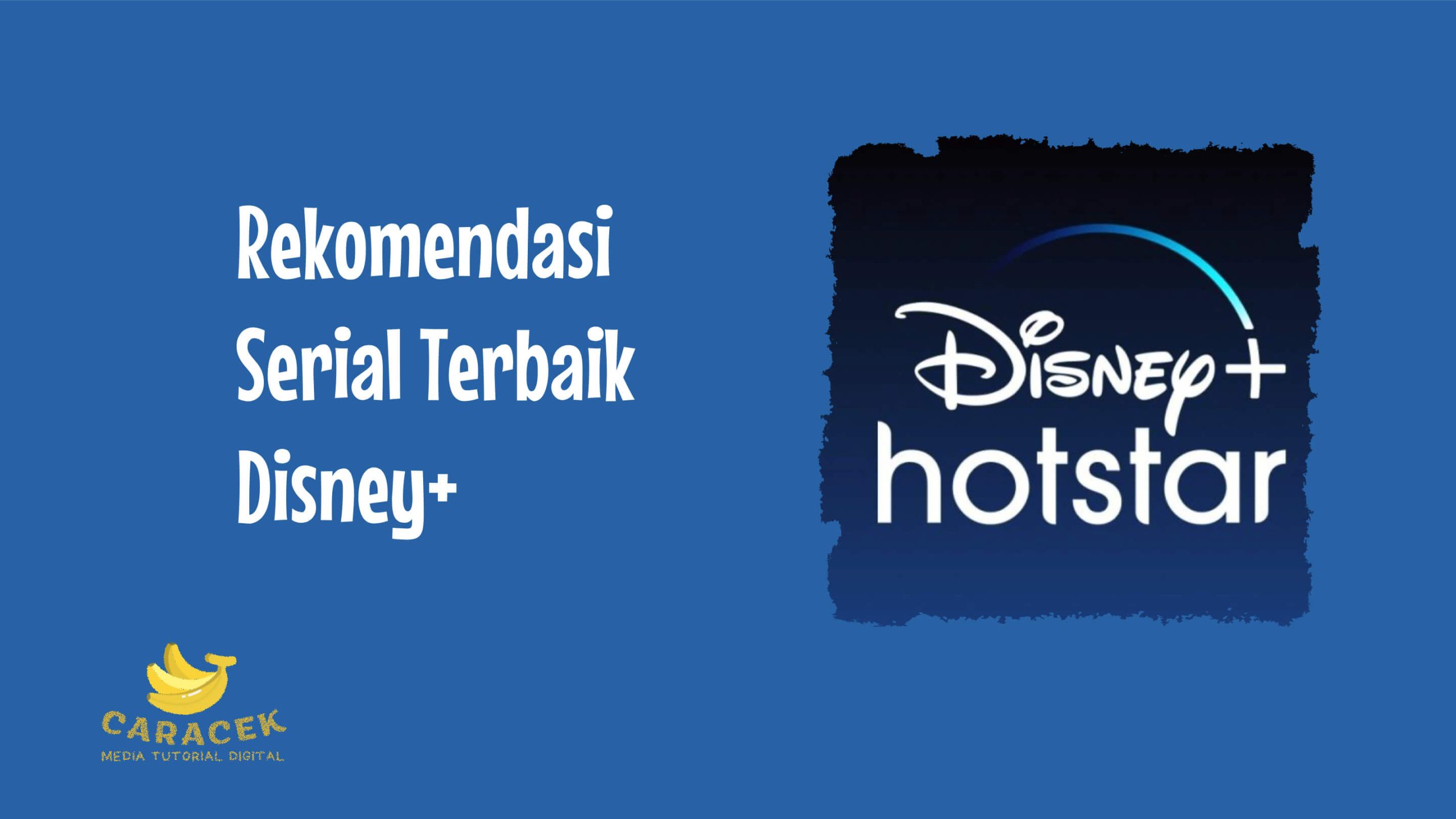 Serial Terbaik Disney+