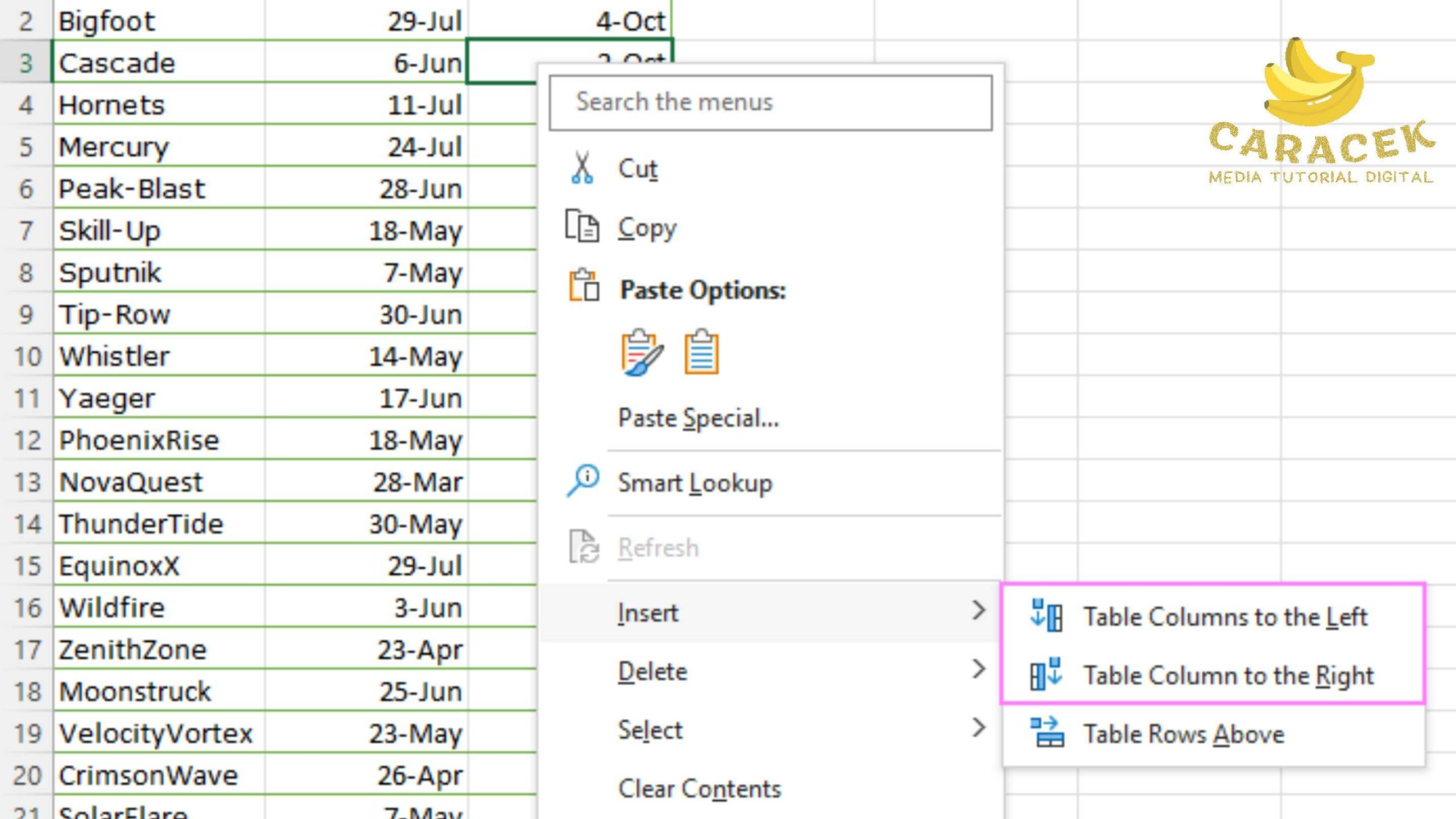 Cara Menambah Kolom di Excel