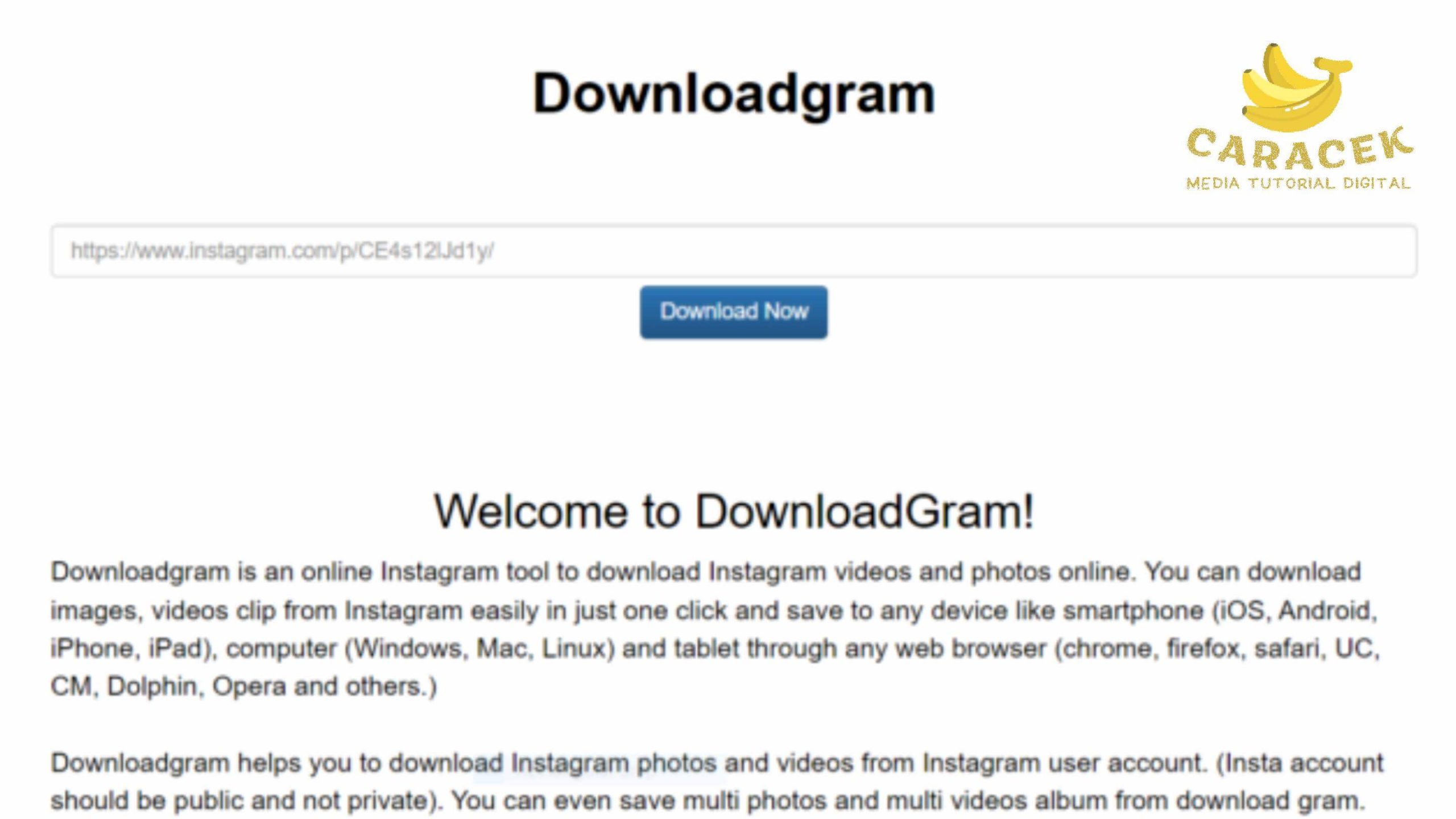 Downloadgram