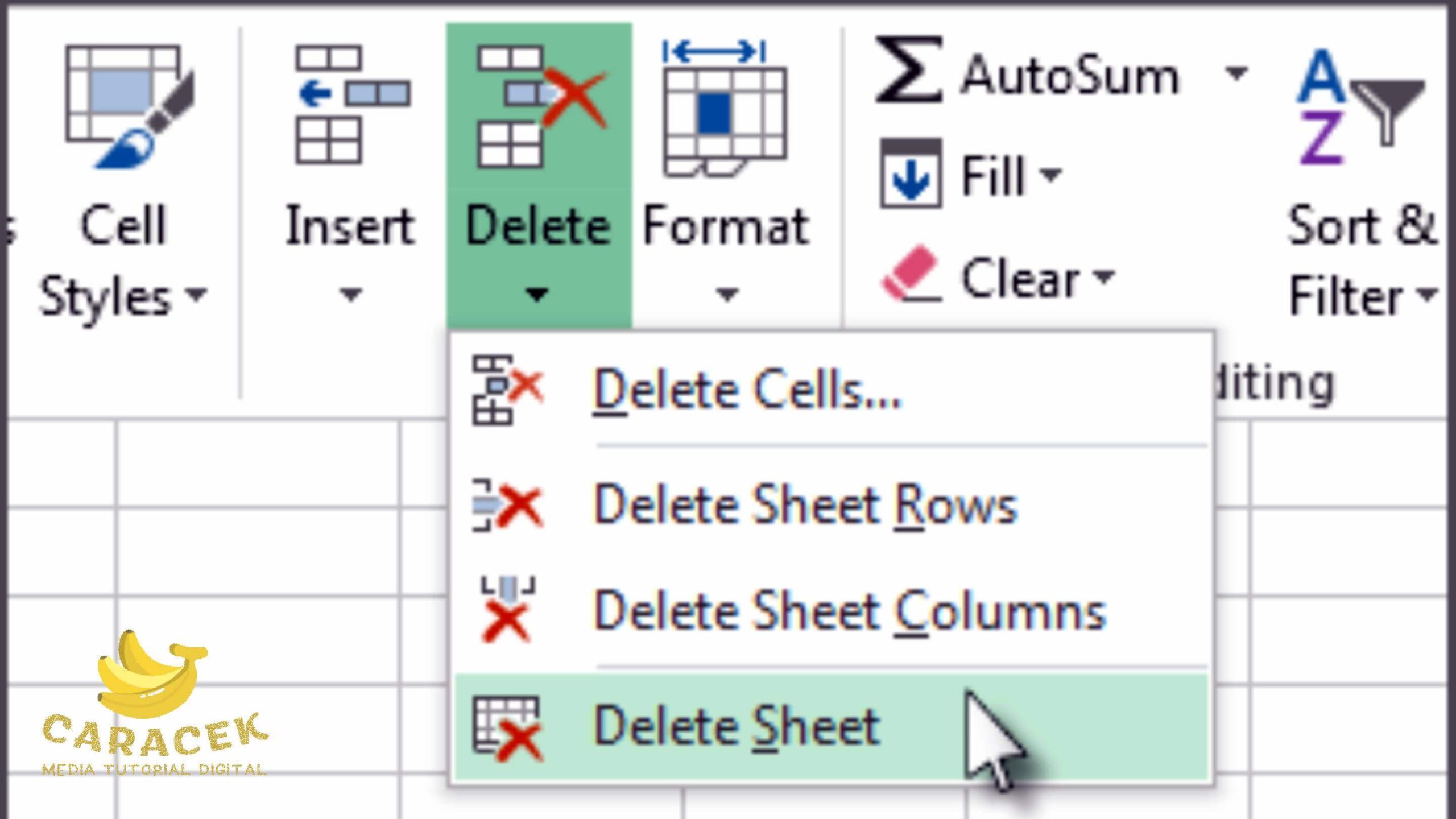 Cara Menghapus Sheet di Excel