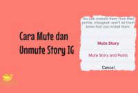 Cara Mute dan Unmute Story IG