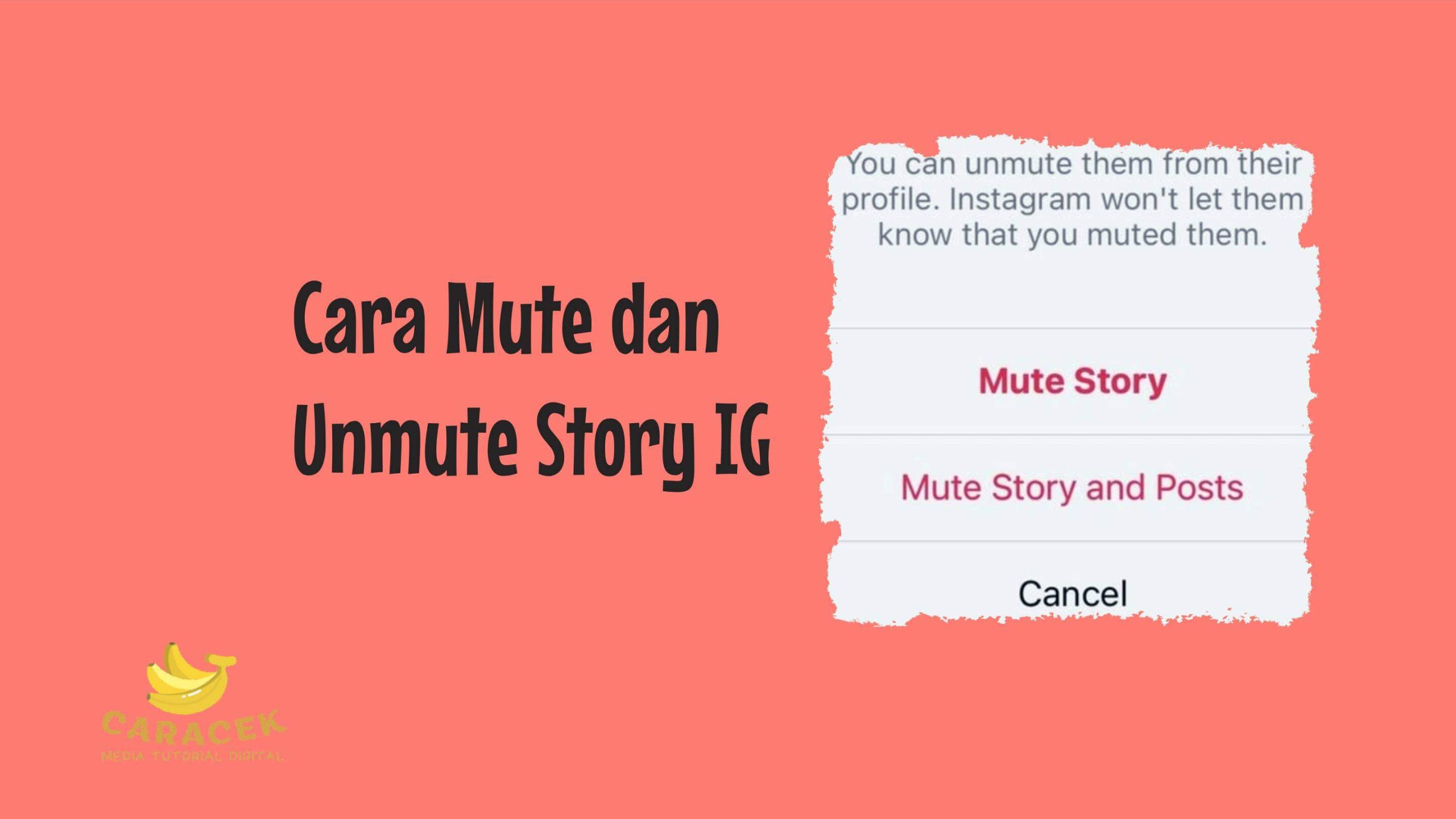 Cara Mute dan Unmute Story IG