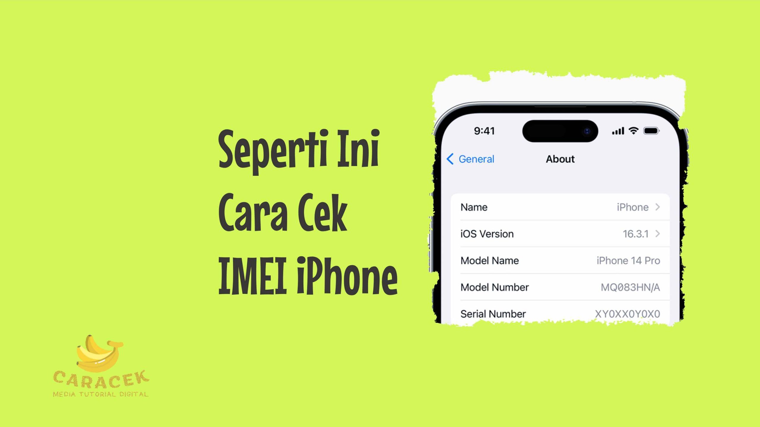 Cara Cek IMEI iPhone