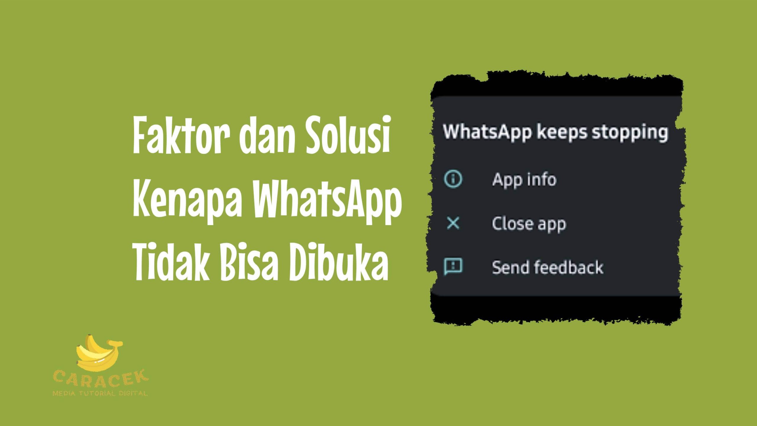 Kenapa WhatsApp Tidak Bisa Dibuka