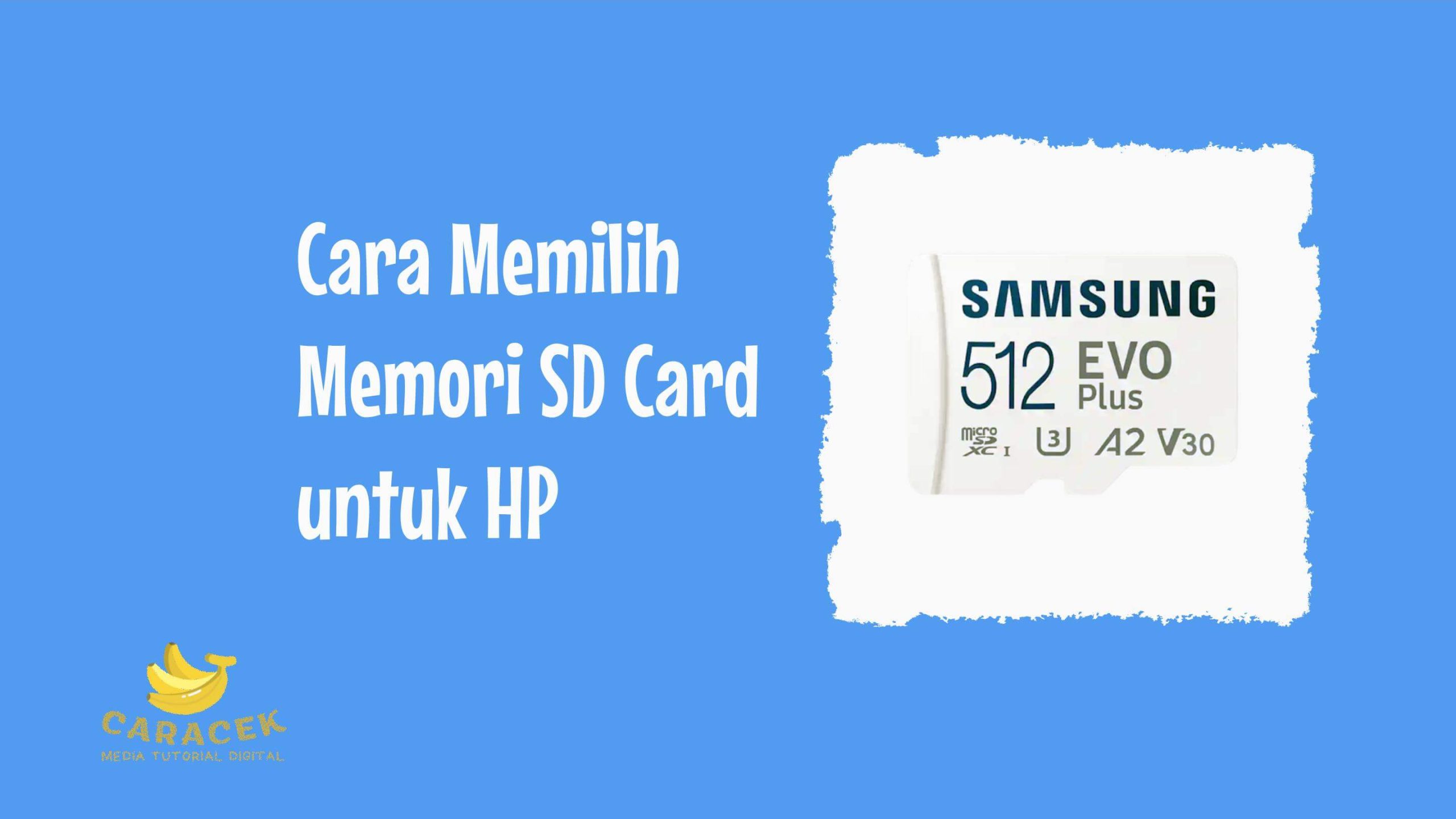 Memori SD Card