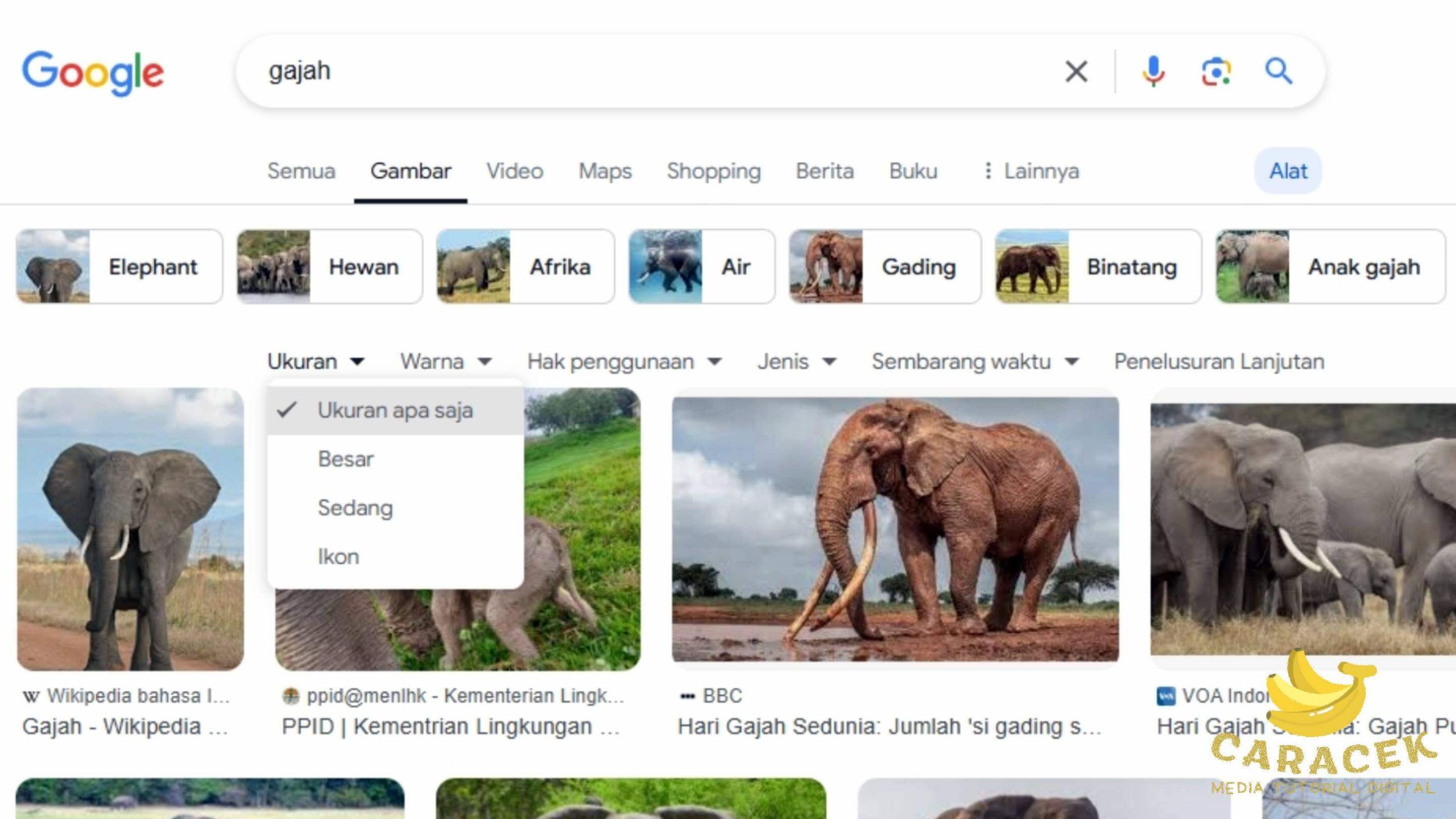 Cara Download Gambar dari Google Images