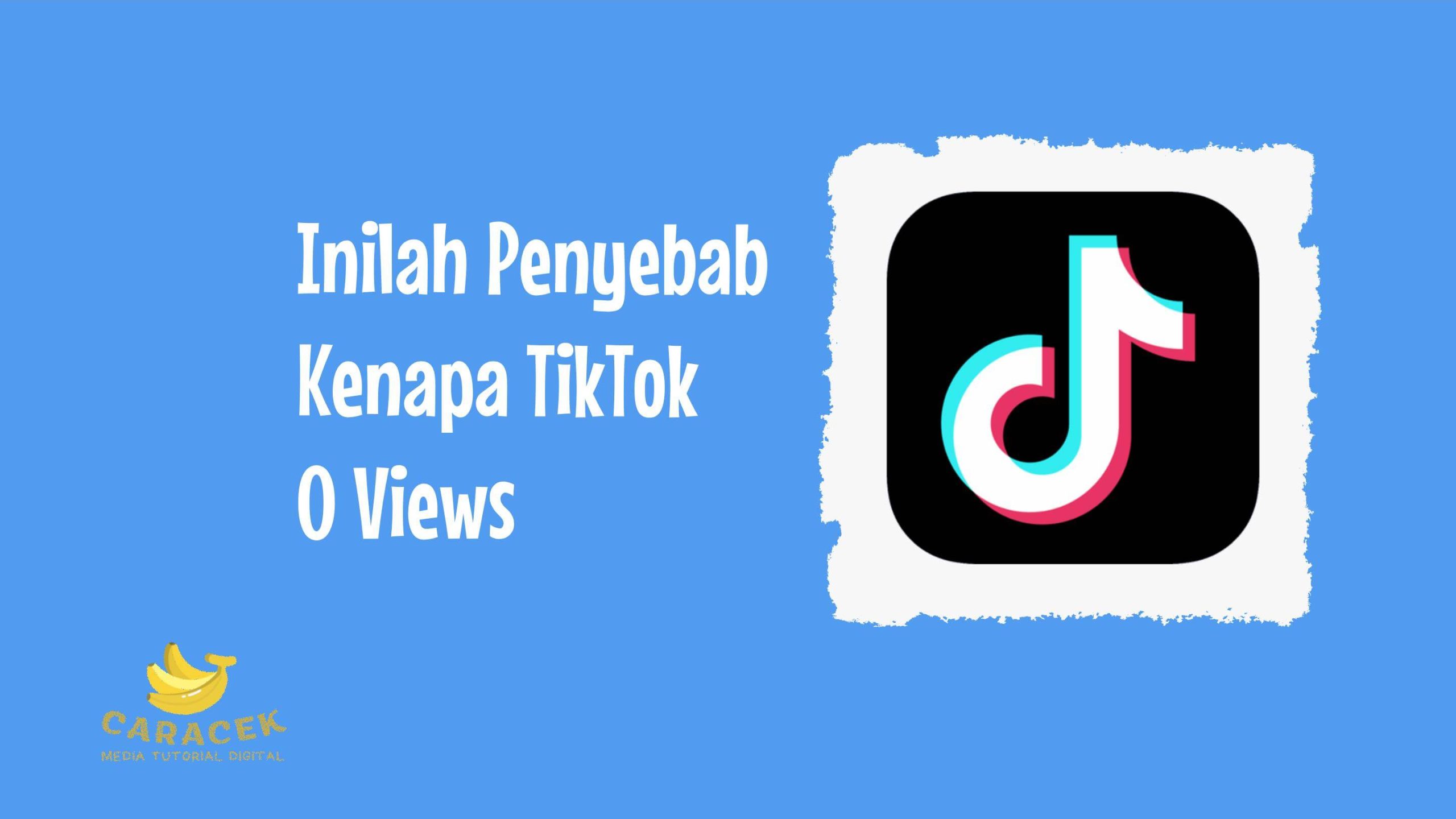 Kenapa TikTok 0 Views